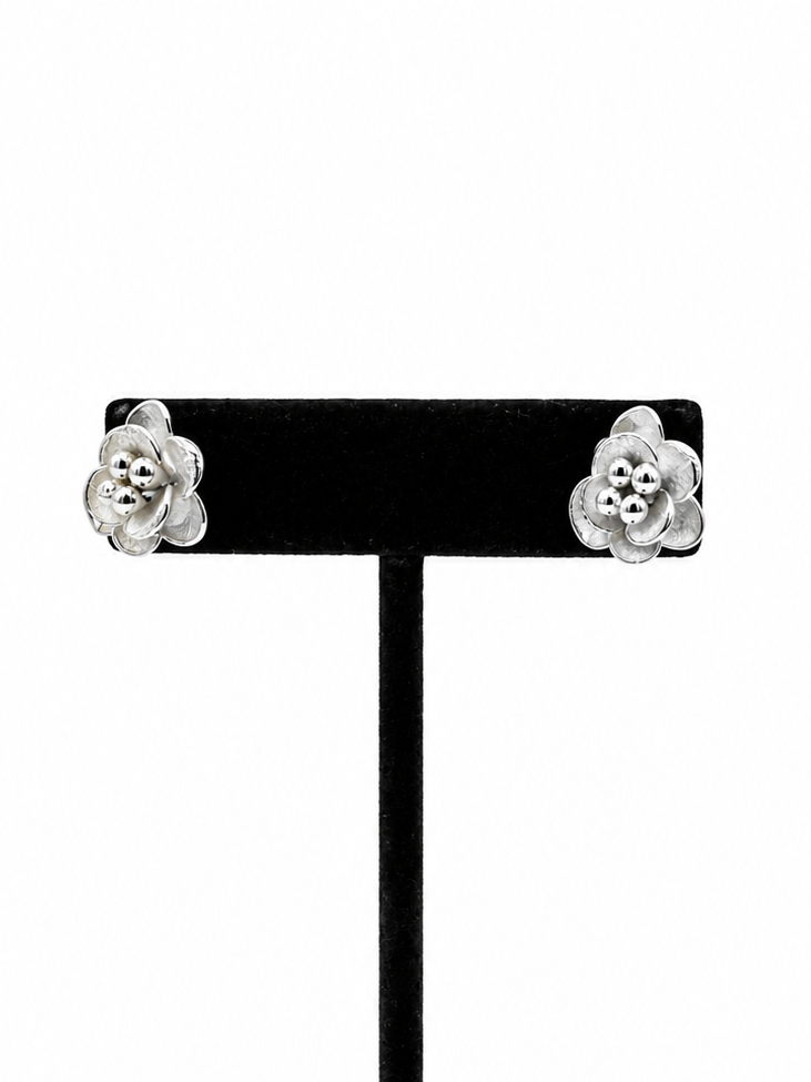 Begonia Studs